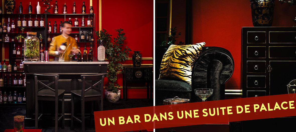 La méduse cocktails bar - Paris  Cocktails bar, Idée déco bar, Décoration  bar