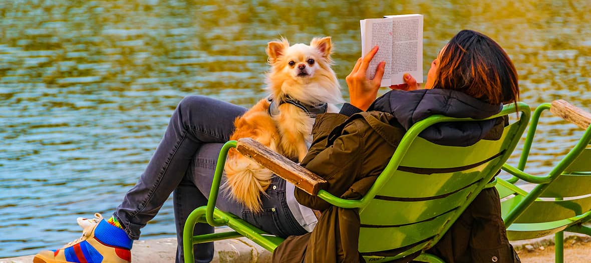 Les livres à lire au mois de novembre 2024