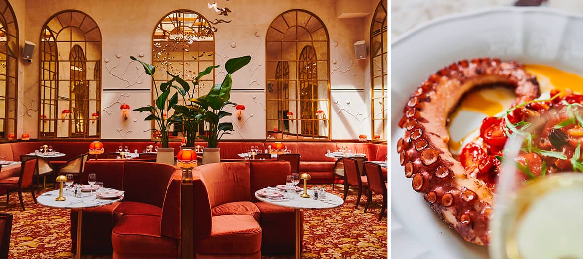 Siena : Un restaurant chaleureux à la décoration inspirée des palazzi italiens, avec des banquettes en velours rose et un décor floral élégant, accompagné d’un plat méditerranéen savoureux à base de poulpe.