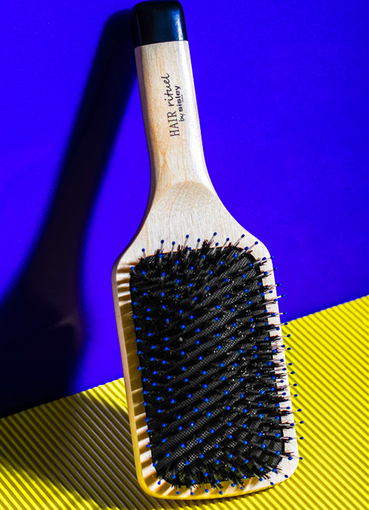 brosse sisley 